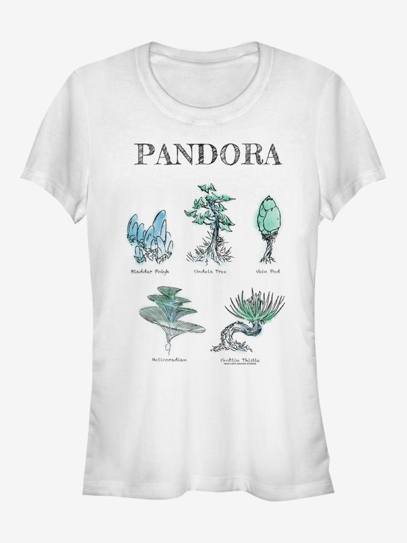 Дрехи > Тениски и топове > Тениски с къси ръкави ZOOT.Fan Pandora flora Avatar 1 Twentieth Century Fox T-shirt Byal