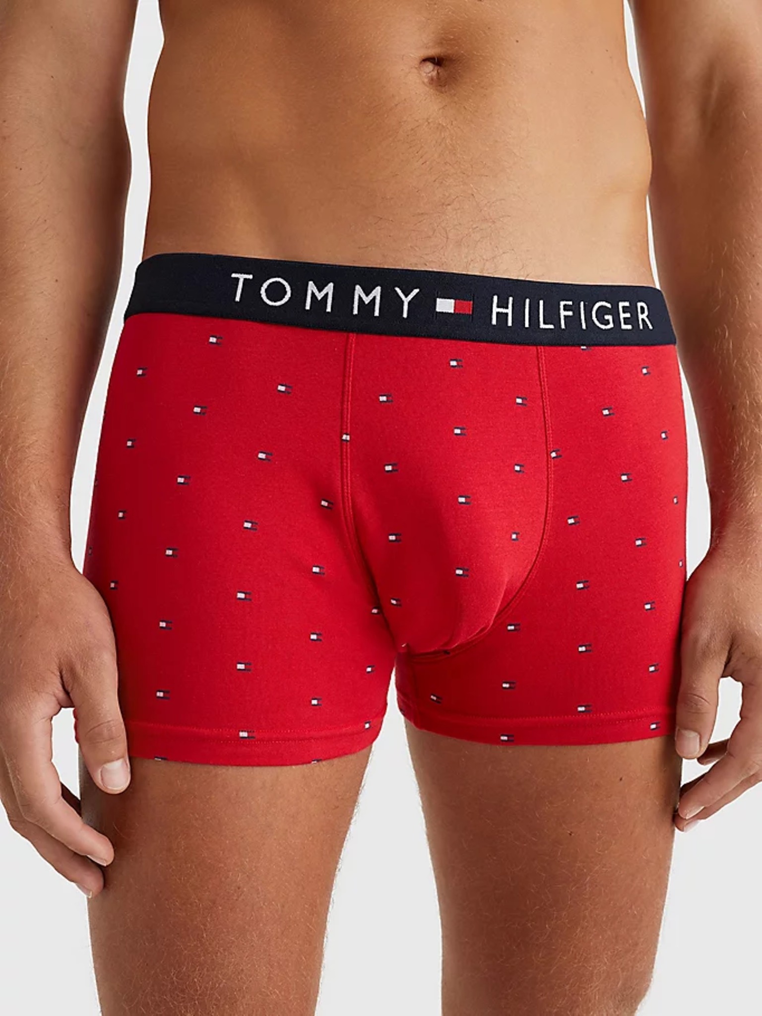 academisch hoorbaar Verwachting Tommy Hilfiger Underwear - Boxer shorts Bibloo.com