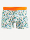 Celio Giboparadi Boxerky