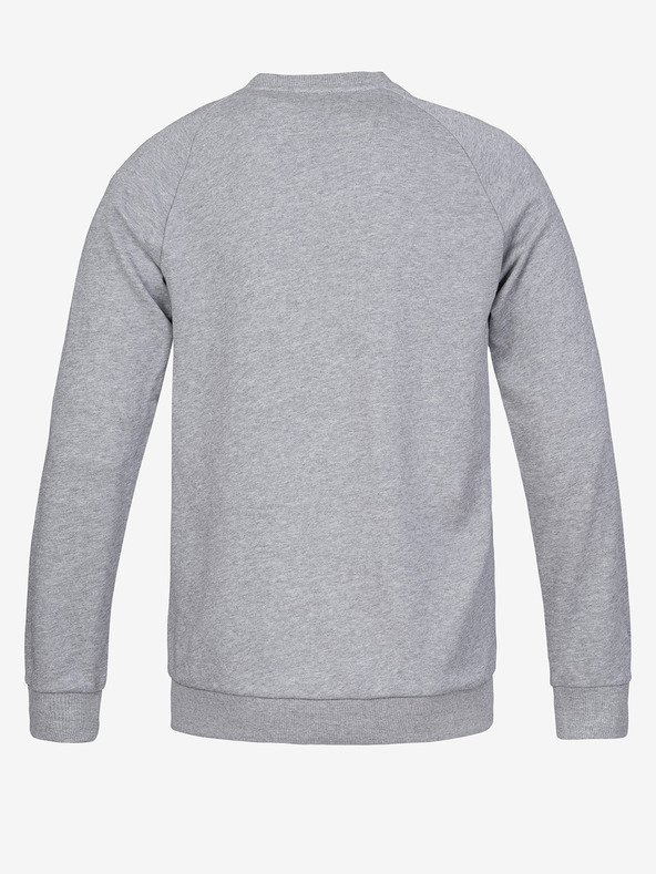 Hannah Tegal Sweatshirt Gris