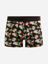 Celio Giboflaman Boxerky