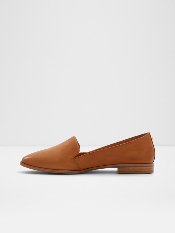 Aldo Veadith2.0 Moccasins Marrón