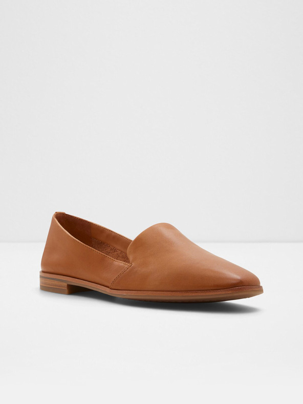 Aldo Veadith2.0 Moccasins Marrón