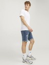 Jack & Jones Rick Kraťasy