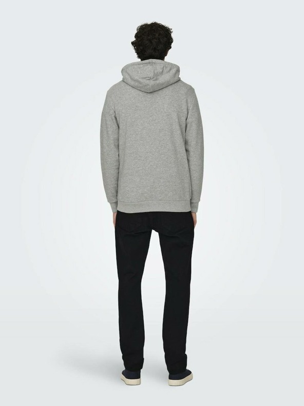 ONLY & SONS Lenny Sweatshirt Gris