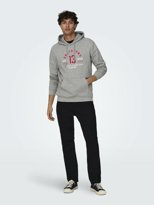 ONLY & SONS Lenny Sweatshirt Gris