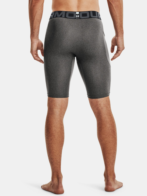 Under Armour HG Armour Lng  Short Pants Gris