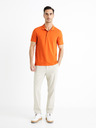 Celio Teone Polo triko