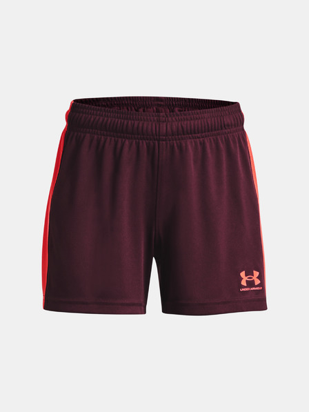 Under Armour Šortky dětské