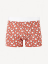 Celio Jiboshell Boxerky