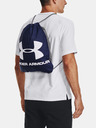 Under Armour UA Ozsee Batoh