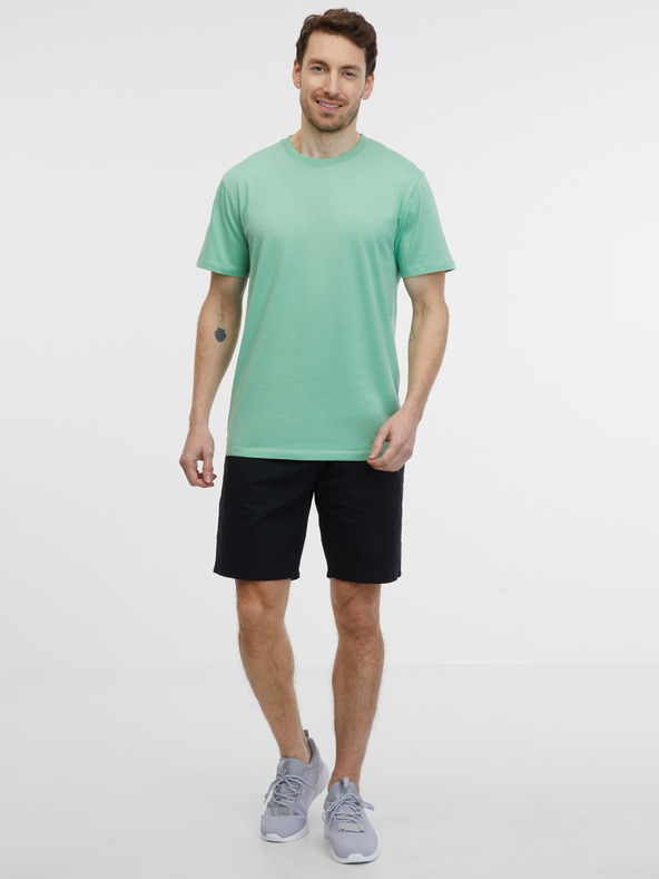 Sam 73 Goose T-shirt Verde