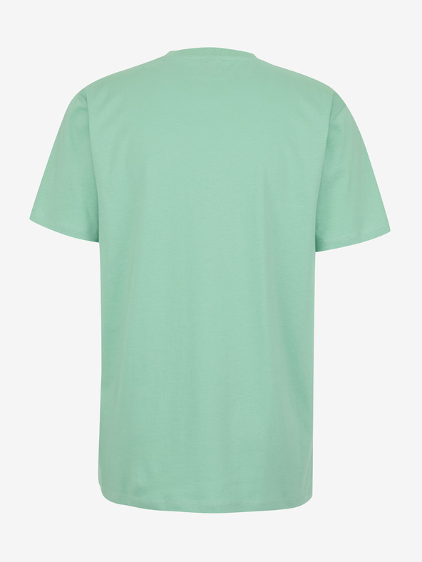 Sam 73 Goose T-shirt Verde