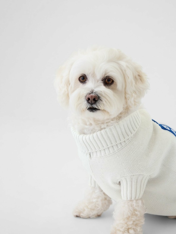 GAP Dog Clothes Blanco