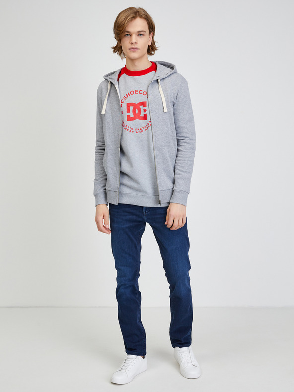 DC Sudadera Gris