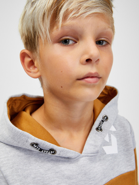 Sam 73 Leael Kids Sweatshirt Marrón