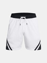 Under Armour Curry Mesh Short 4 Kraťasy