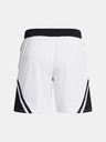 Under Armour Curry Mesh Short 4 Kraťasy