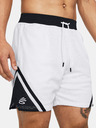 Under Armour Curry Mesh Short 4 Kraťasy