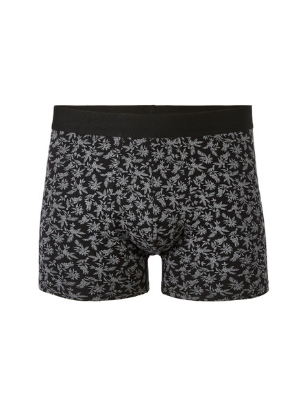 Celio Jibofleur Boxerky