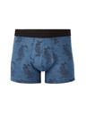 Celio Jibodrag Boxerky