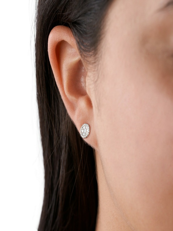 Fossil Earrings Plateado