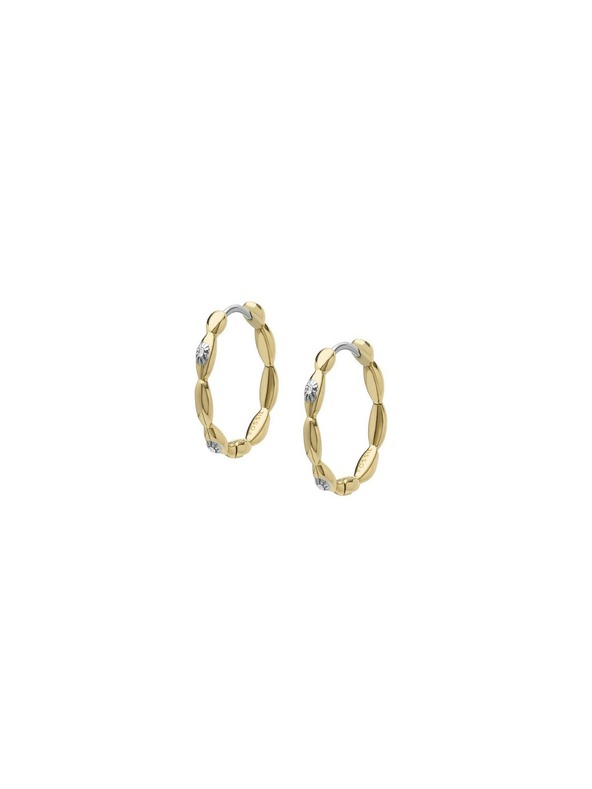 Fossil Sutton Earrings Dorado