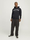 Jack & Jones Caleb Mikina