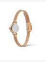 Daniel Wellington Petite Mini 19 Melrose Hodinky