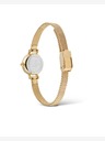 Daniel Wellington Petite Mini 19 Evergold Hodinky