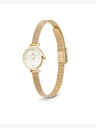 Daniel Wellington Petite Mini 19 Evergold Hodinky