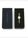 Daniel Wellington Petite Mini 19 Evergold Hodinky