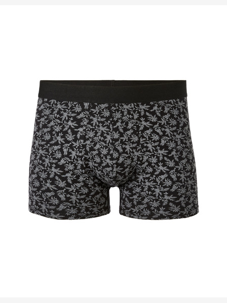 Celio Jibofleur Boxerky